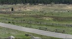 Meta-Gigapan, Moraine Park