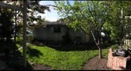 Guelph backyard