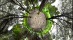 Green Planet