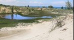 Indiana Dunes Park - Succession trail