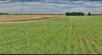 10-06-24 WG CM 2-3Yr 3 NoVign