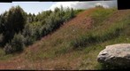 Roeros Hillside