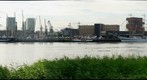 Tall ships 3