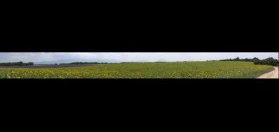 54642-400x189