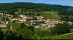 Chasselas