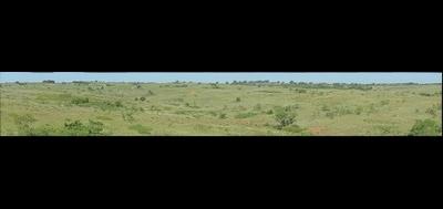 54753-400x189