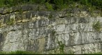 Dunham Dolomite - East Dorset, Vermont