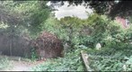 More Hampstead Cemetery