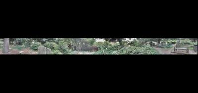 54786-400x189