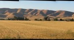 North Livermore
