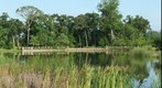 Creekside Park - The Woodlands, Texas