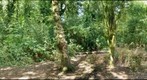 Welsh Harp - Nature Trail 1.2