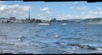 Oslo from the Water