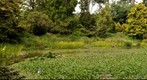 Golden Gate Park, SF