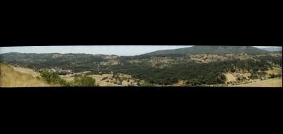 55049-400x189