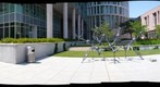 Walking Molecular Flower - Magnificant Seven - Houston Celebrates Surls - Rice University - 360 Degree Panorama 