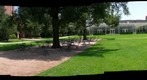 Again The Tree, Knot, Flower and Me - Magnificant Seven - Houston Celebrates Surls - Rice University - 360 Degree Panorama