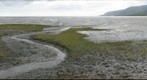Low Tide Cairns Mudflat