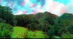 Lyon Arboretum, Honolulu -- Anaglyph test