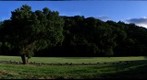 Palo Alto Foothills Park