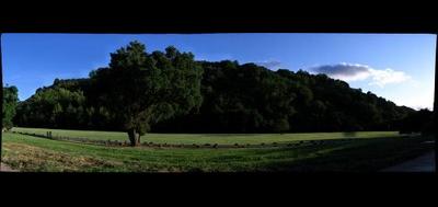 5527-400x189