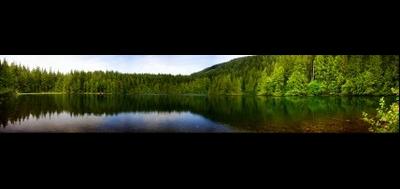 55370-400x189
