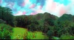 Lyon Arboretum Anaglyph - full