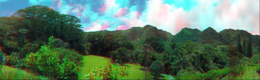 55374-900x277
