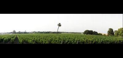 55429-400x189