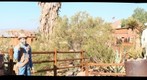 Calico Train