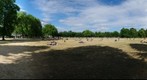 Greenwich park