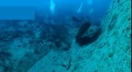 Thistlegorm 5