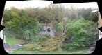 Hurricane in Moscow, fallen trees