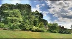 Rhododendron Garden, UMass Amherst