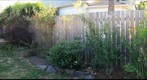 Side Yard Shot