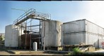 Barrow Plant (barrow_02)