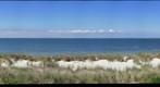 Strandpromenade Lubmin, germany