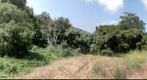 Dawson Los Manos Reserve, Vista, Ca.