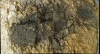 Abri Castanet Fire Feature 22-06-10