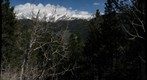 Many Parks 2