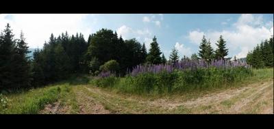 55883-400x189