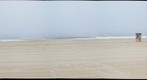 venice beach morning fog