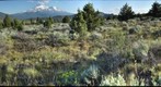 Mt. Shasta