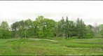 Morton Arboretum, Lisle, IL