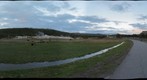 Only (Continuously) Surviving Herd of Bison in North America, near Old Faithful Geyer, Yellowstone National Park