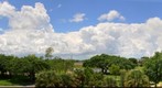 Clouds At High Noon