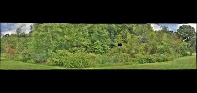 56184-400x189