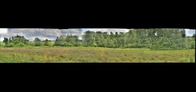 56189-400x189
