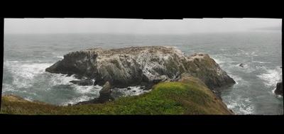 56239-400x189