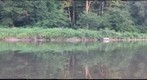 Tinoesta Fishing Two